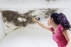 How to Recognize and Handle Water, Fire, and Mold Damage: A Guide for Homeowners
