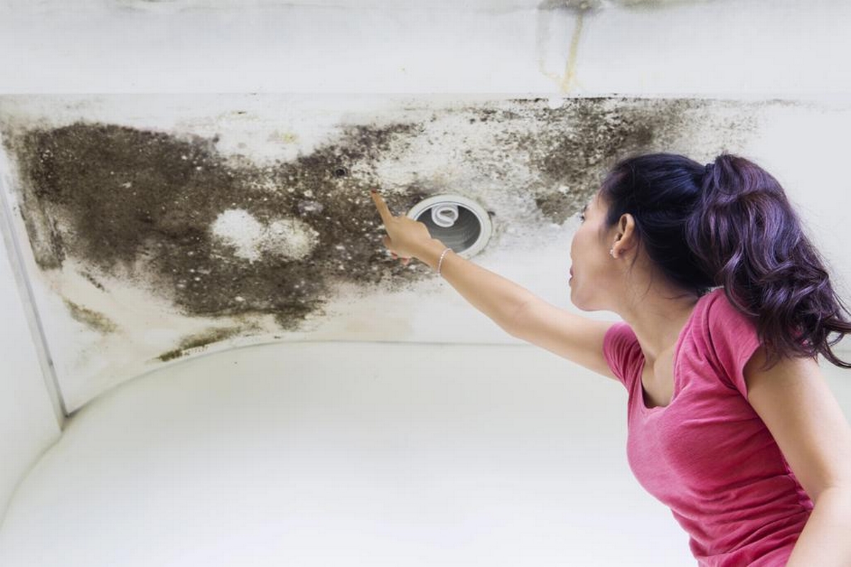How to Recognize and Handle Water, Fire, and Mold Damage: A Guide for Homeowners