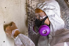 The Rise of Specialized Mold Remediation Services
