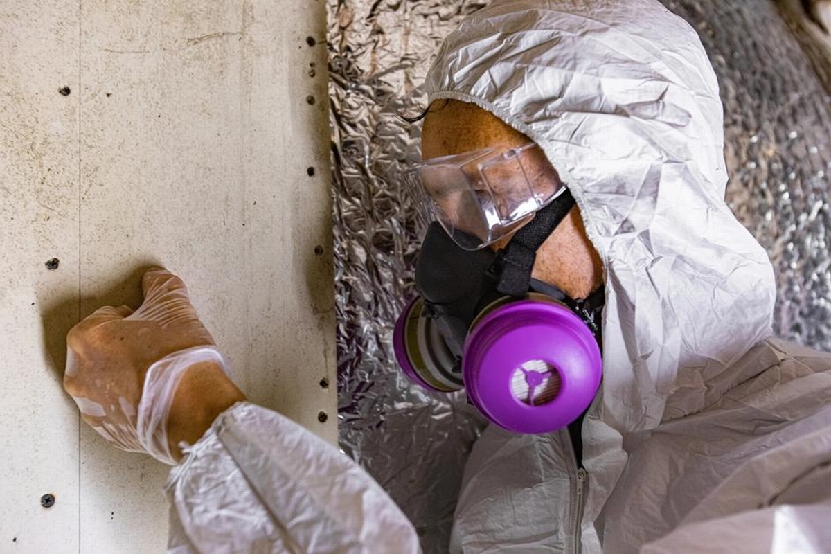 The Rise of Specialized Mold Remediation Services