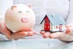 The Economic Impact of Proactive Mold Prevention Strategies