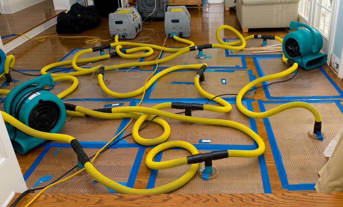 The Latest Innovations in Water, Fire, and Mold Damage Restoration: Revolutionizing the Industry