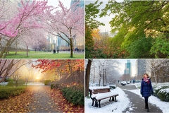 What is the Average Temp in Milwaukee, WI by Month?