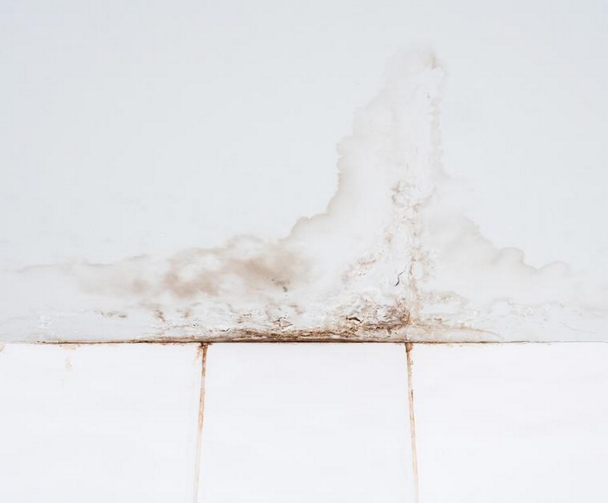 Learn How to Remove Mold From Bathroom Ceiling Safely