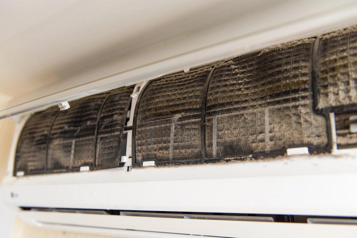 Black Mold in Air Conditioner Unit and How to Remove It