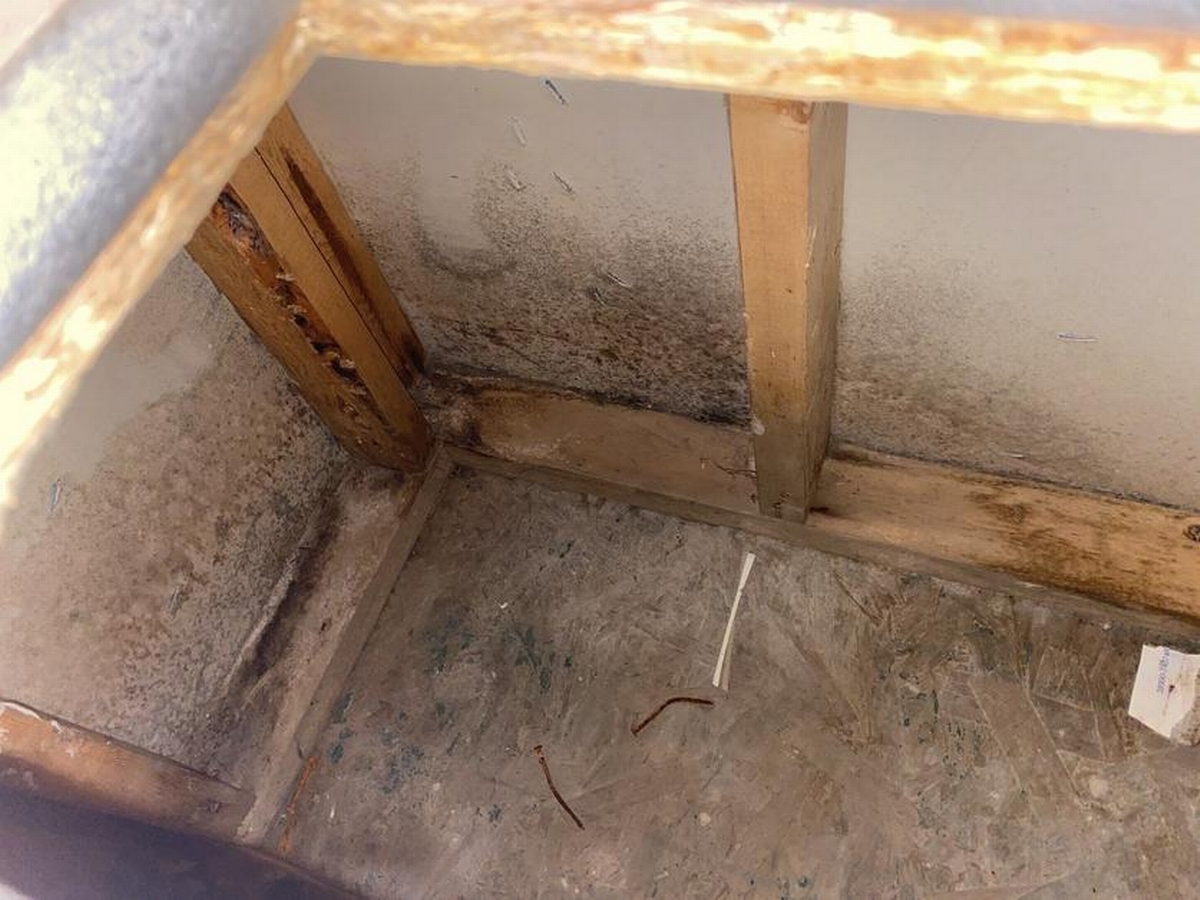 Basement Flood Cleanup Expert: When to Call for Help