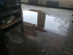 Laminate Floor with Water Damage: What Are Your Options