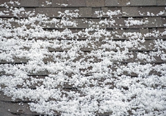 How to Know If Your Roof Has Hail Damage After a Storm