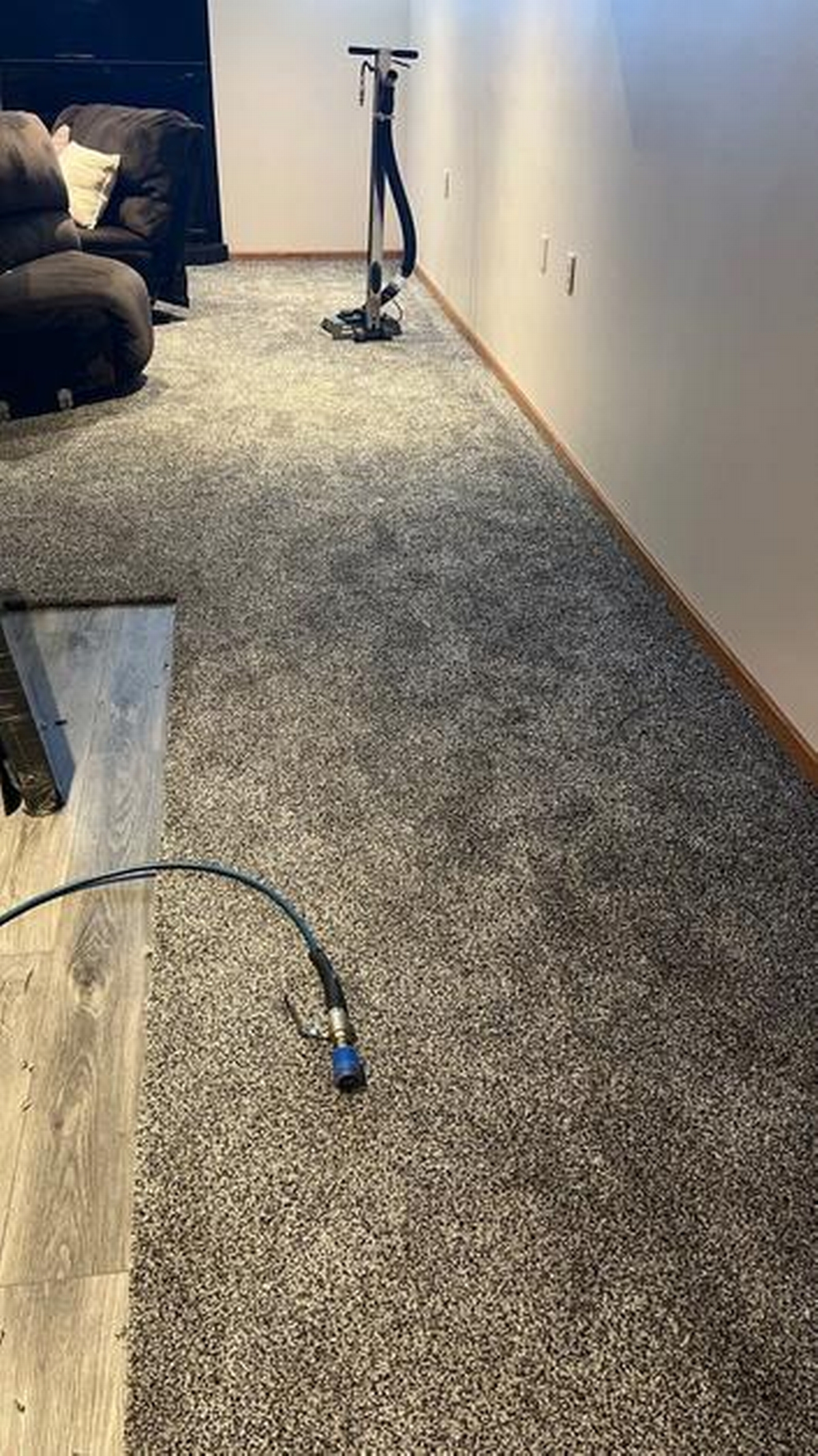 How Long Does Carpet Cleaning Take? A Simple Timeline