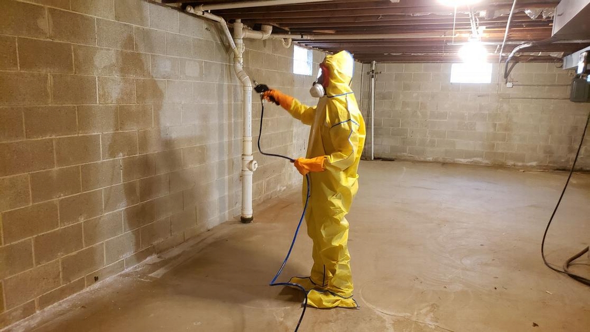 Mold Abatement Process: Step-by-Step Overview