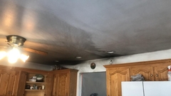 Water Damage and Ceiling Mold: What to Watch For