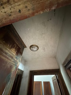 Safe Black Mold Removal for Wood Without Causing More Damage