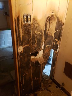 What Kills Black Mold on Wood? Safe Cleanup Considerations