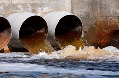Where Does Sewage Water Go? Following the Journey from Your Home