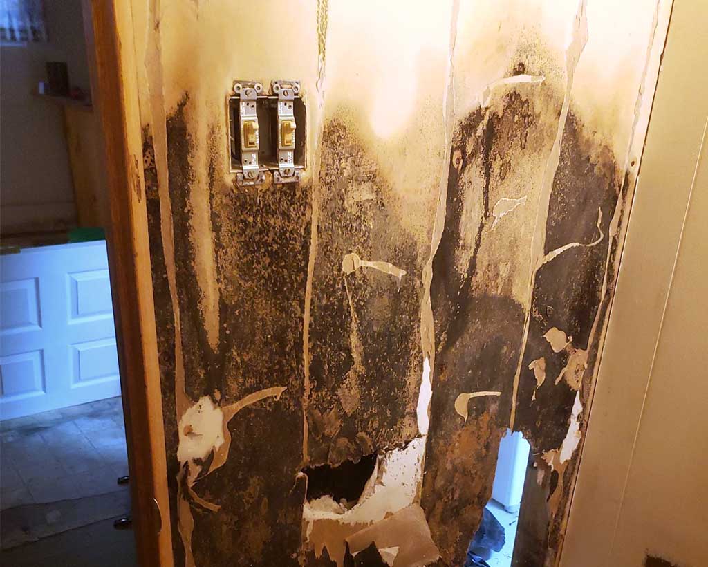 Mold damage in home