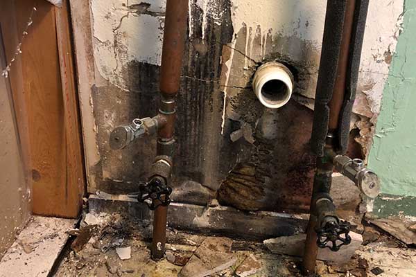 Mold caused by water damage