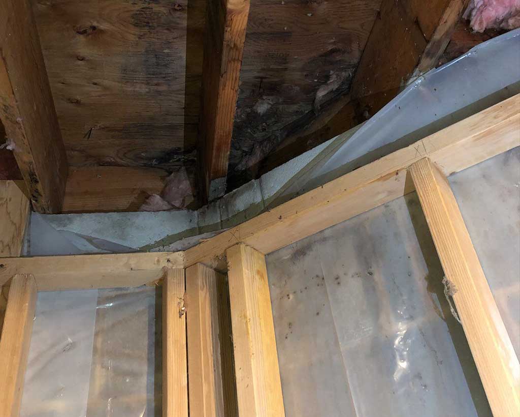 Water damage in basement