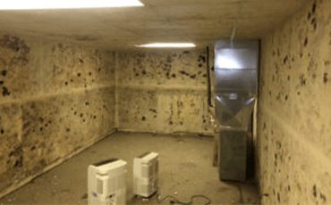 Basement Mold Removal and Remediation in Racine, WI