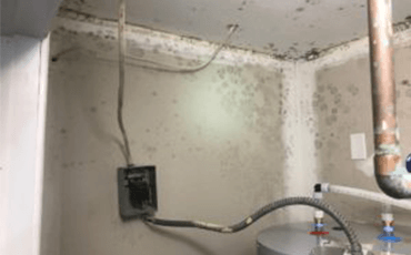 Mold Remediation and Removal in Racine, WI
