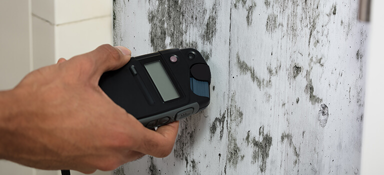 Mold Remediation in Racine, Wisconsin